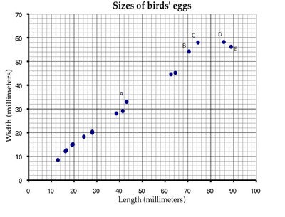 Birds_eggs_78fe43d2d16d86ec922d5d0f64d68f25