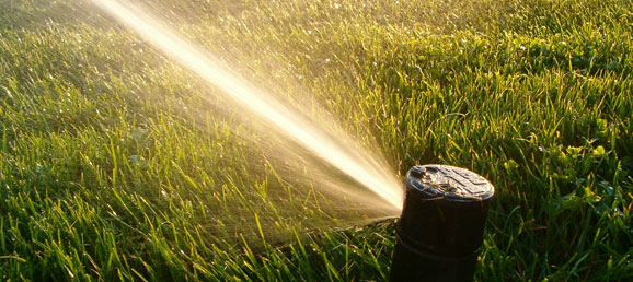 sprinkler_cover